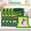 Super Glue Rat Magic Carpet –