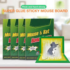 Super Glue Rat Magic Carpet –
