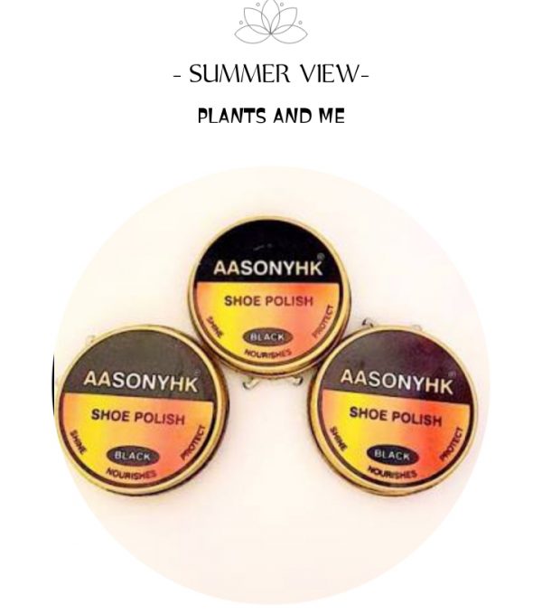 Soney shoe Polish Black Long Lasting Shine